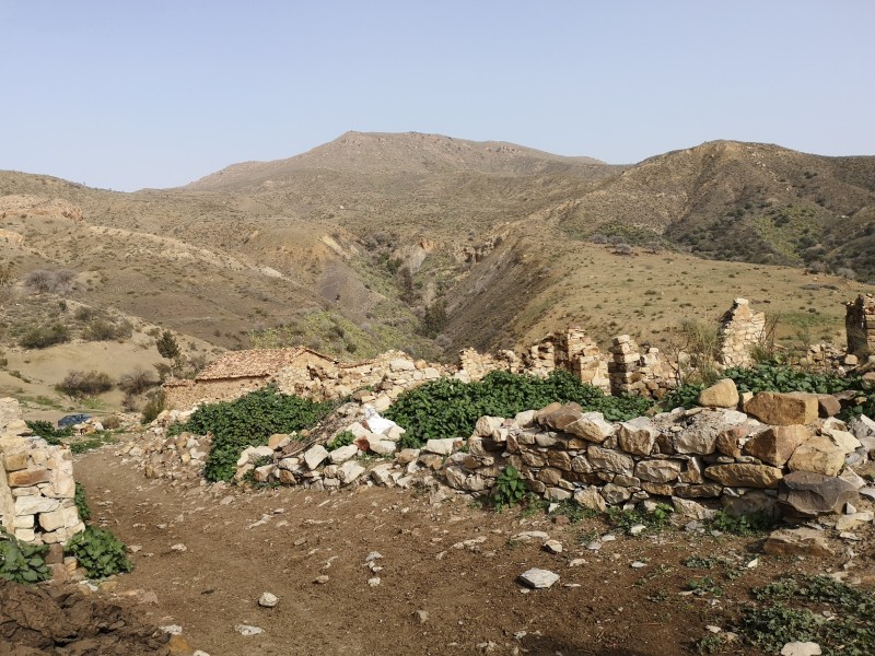 Ruines du village de Tizi Qalaa, région de Mansourah, Algérie @DorothéeMyriamKellou